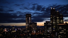 にっぽんリアル2