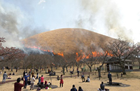 新日本風土記　伊豆半島 春のマイウェイ